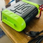 Intelligent batterie charger 12/24v