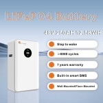 Felicity 12.5kwh FLA Lithium battery 250kwh