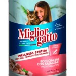 Miglior Gatto Chunks with Salmon for Cats
