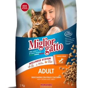 Miglior Cane Dry Food for Adult Dogs With Chicken