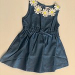 Baby Girl Bodysuit Dress