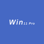 Win 11 Pro Key License 100% Online Activation Win 11 Pro Digital Key